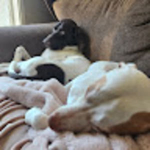 Meet your Posher, William